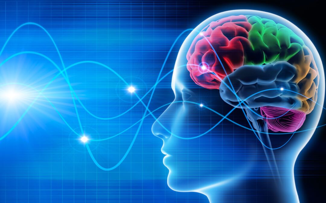 Les Ondes Cérébrales et la Méditation : Transformer votre Vie avec la Science et le Coaching